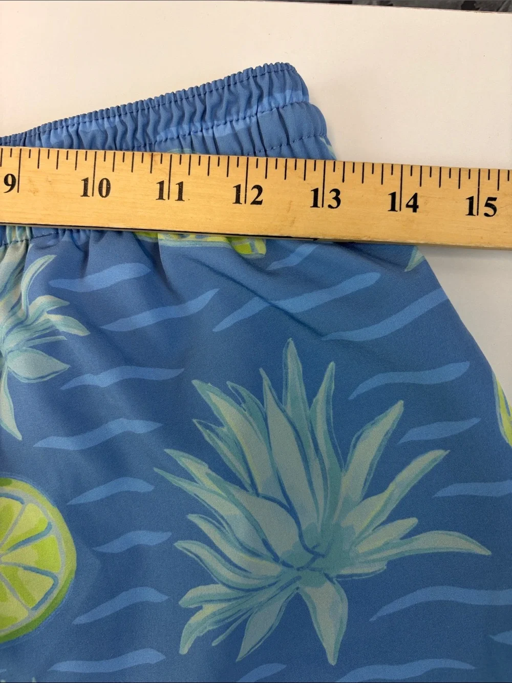 Chubbies  Blue Pineapple & Lime Print Men’s Swim Shorts